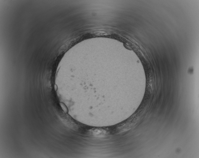 X0000116560512201001211225