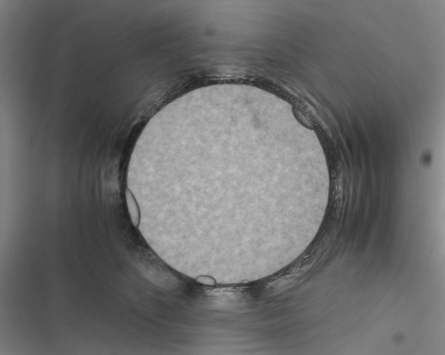 X0000116560516201001211225