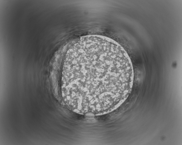 X0000116560519201001211225