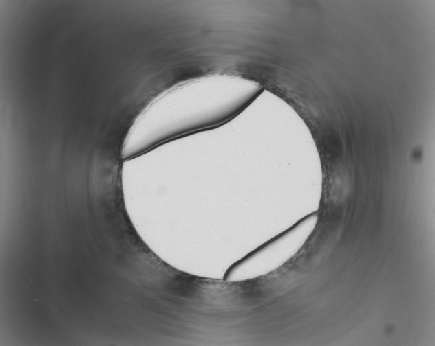 X0000116560521201001211225