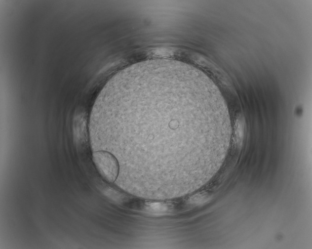 X0000116560522201001211225