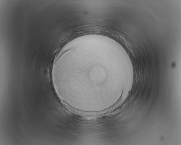X0000116560524201001211225