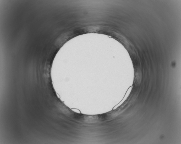 X0000116560525201001211225