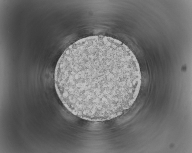 X0000116560527201001211225