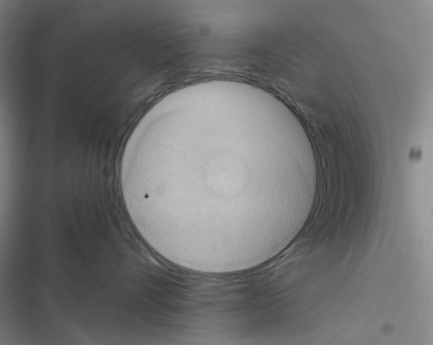 X0000116560528201001211225
