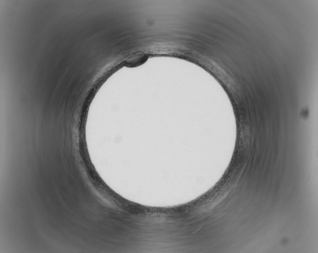 X0000116560530201001211224