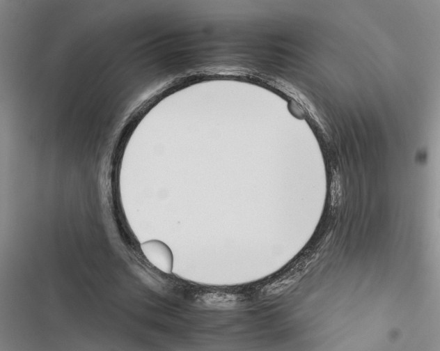X0000116560535201001211225