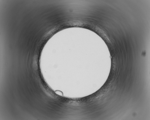 X0000116560538201001211225