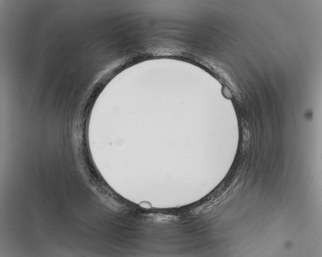 X0000116560539201001211225