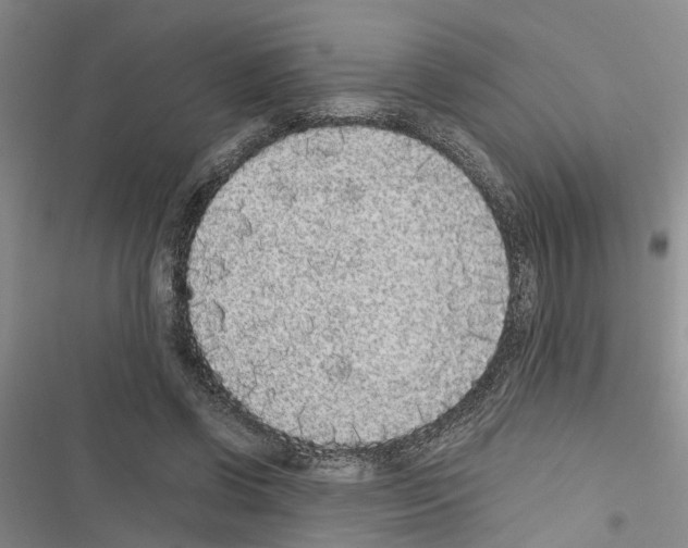 X0000116560542201001211225