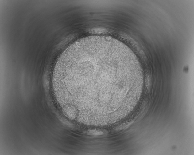 X0000116560545201001211225