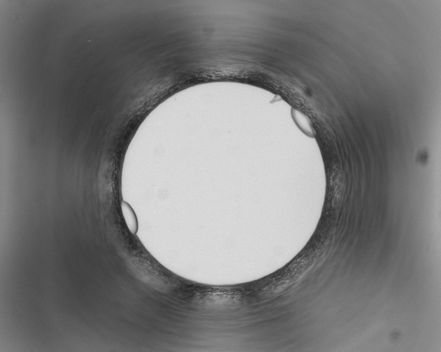 X0000116560546201001211225