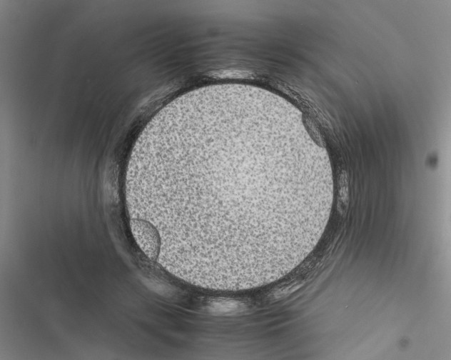X0000116560547201001211225