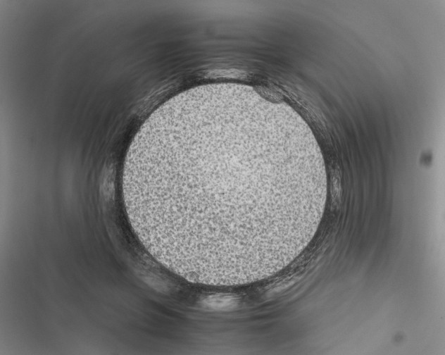 X0000116560551201001211225