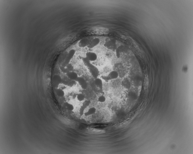 X0000116560553201001211225
