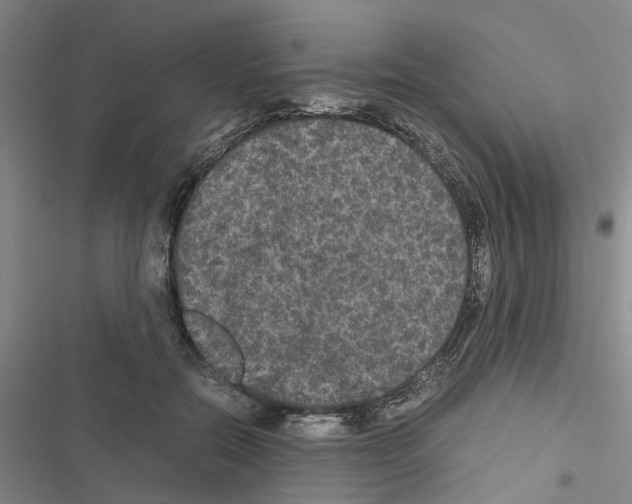 X0000116560554201001211225