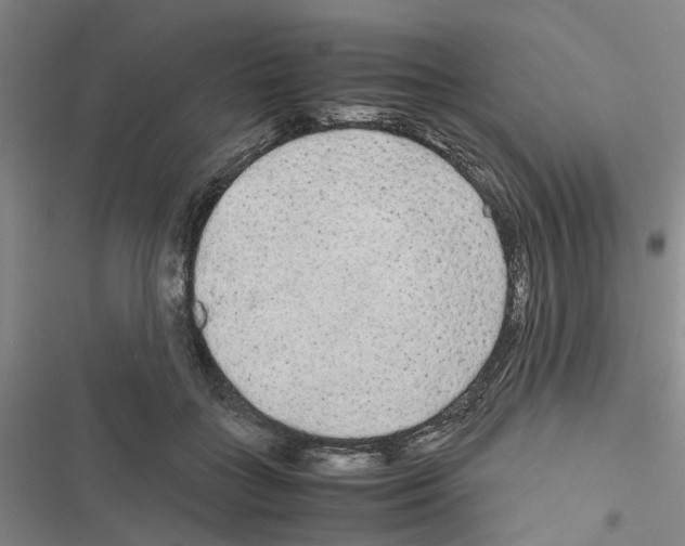 X0000116560555201001211225