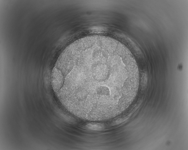 X0000116560557201001211225