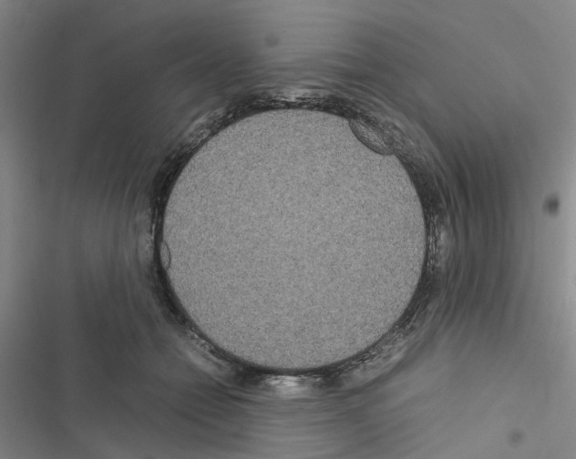 X0000116560558201001211225