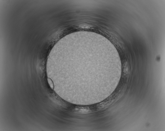 X0000116560559201001211225