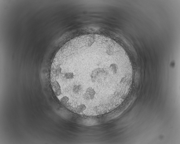 X0000116560561201001211225