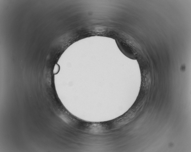 X0000116560562201001211225