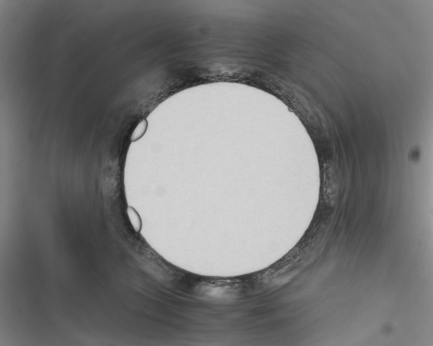 X0000116560563201001211225