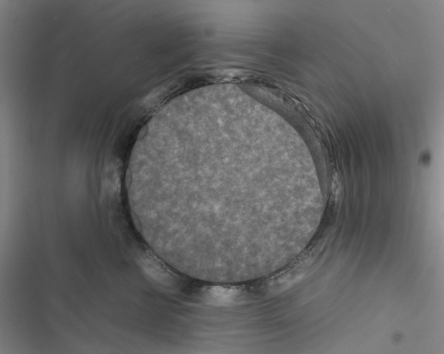 X0000116560570201001211225