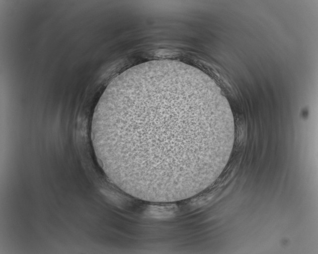 X0000116560571201001211225