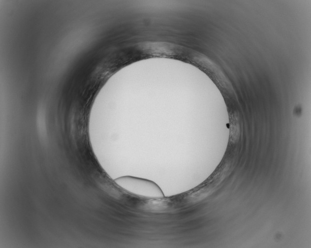 X0000116560573201001211225