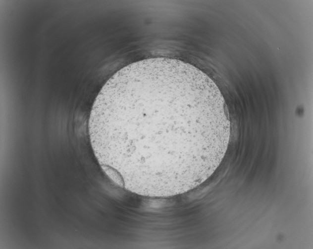 X0000116560575201001211225