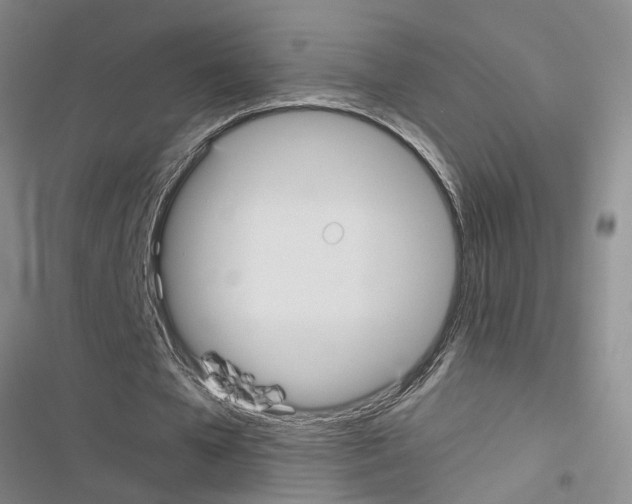 X0000116560577201001211224