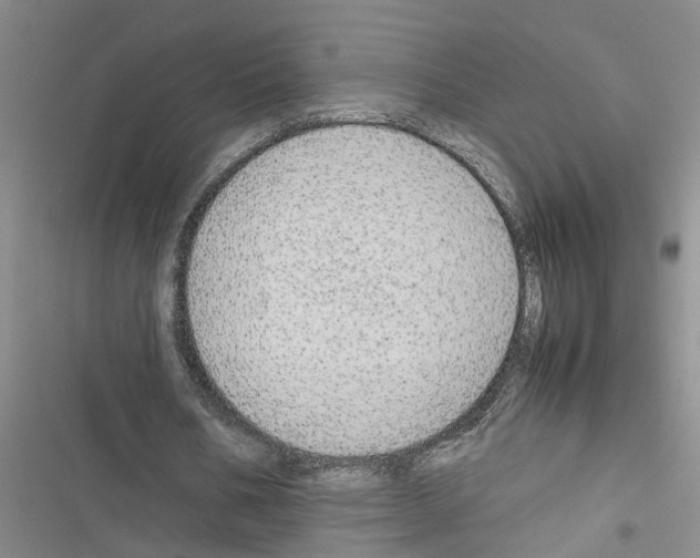 X0000116560578201001211224