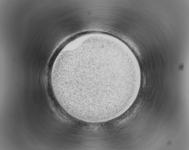 X0000116560580201001211224