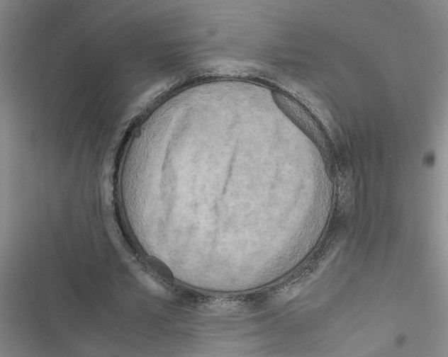 X0000116560581201001211224