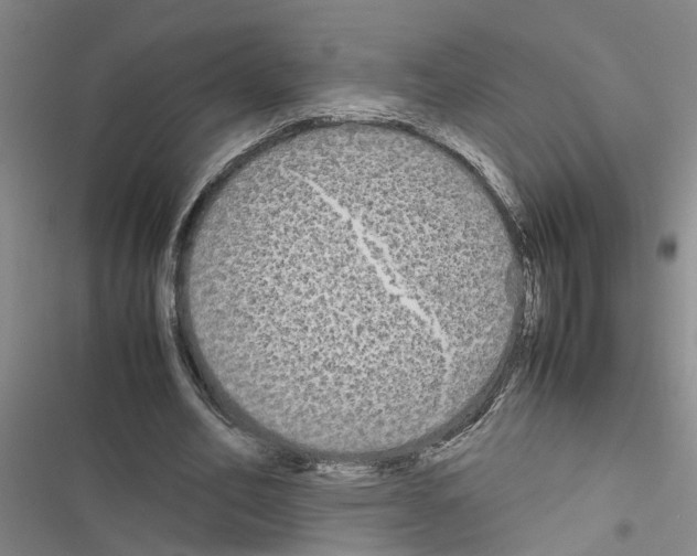 X0000116560582201001211224