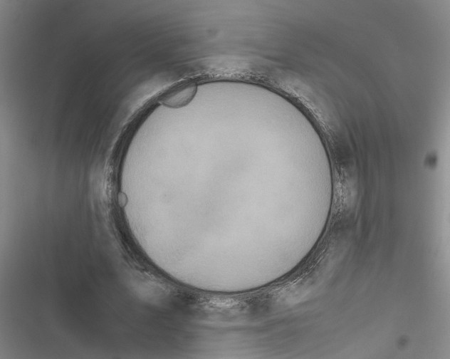 X0000116560583201001211224