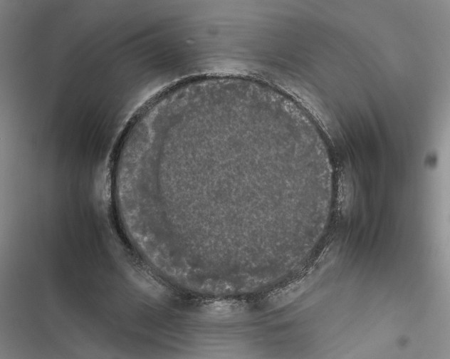 X0000116560584201001211224