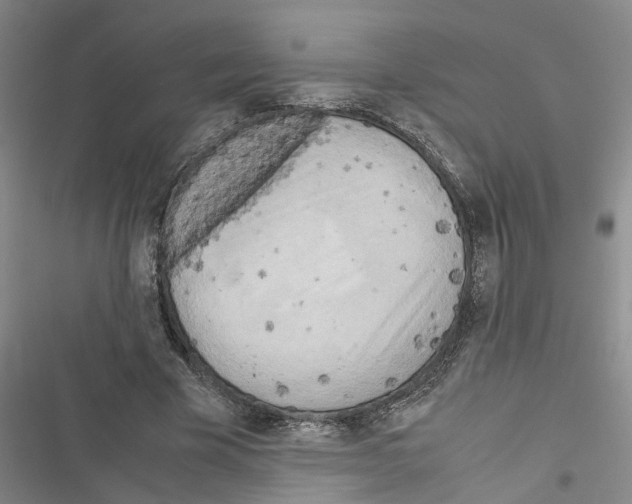 X0000116560585201001211224