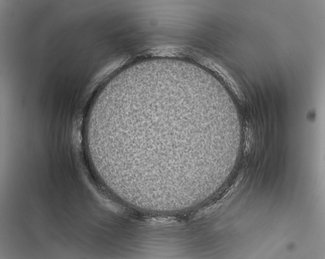 X0000116560586201001211224