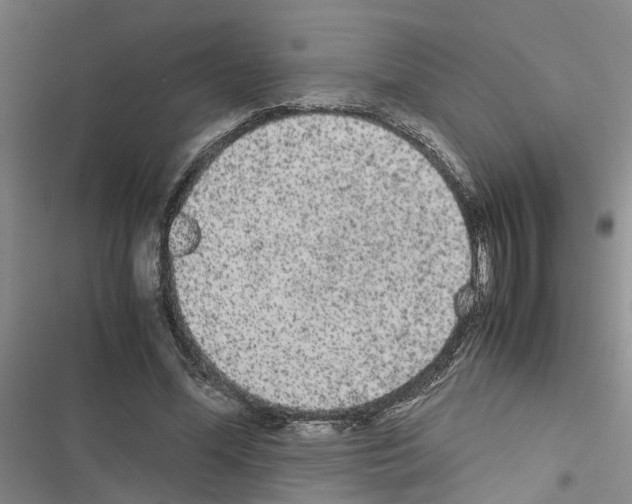 X0000116560588201001211224