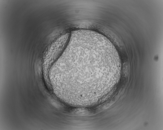 X0000116560589201001211224