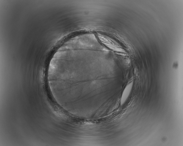 X0000116560592201001211224