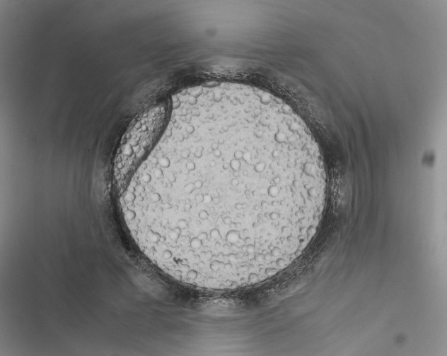X0000116560593201001211224