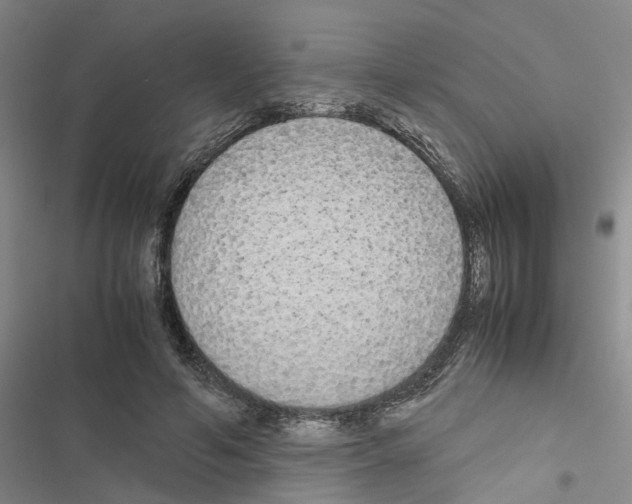 X0000116560594201001211224
