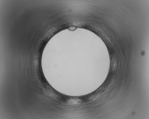 X0000116560595201001211224