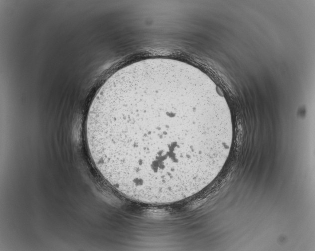 X0000116560596201001211224