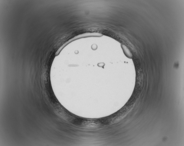 X0000116560597201001211224