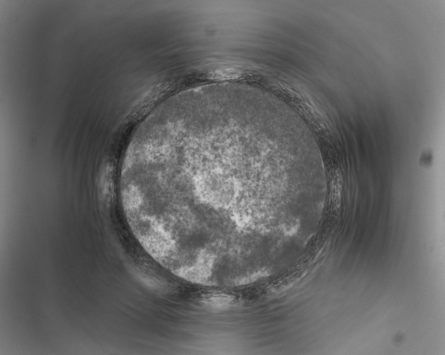 X0000116560598201001211224