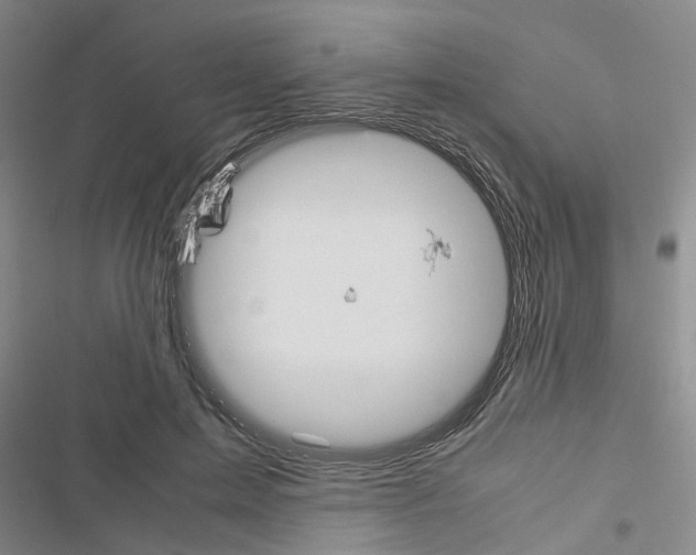 X0000116560599201001211224